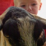 breckenandgoat